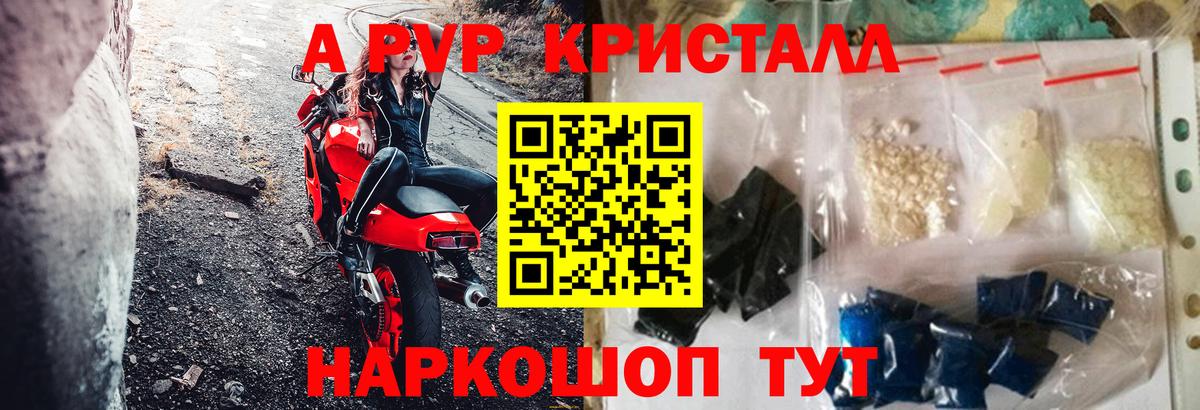 Альфа ПВП СК Заволжье