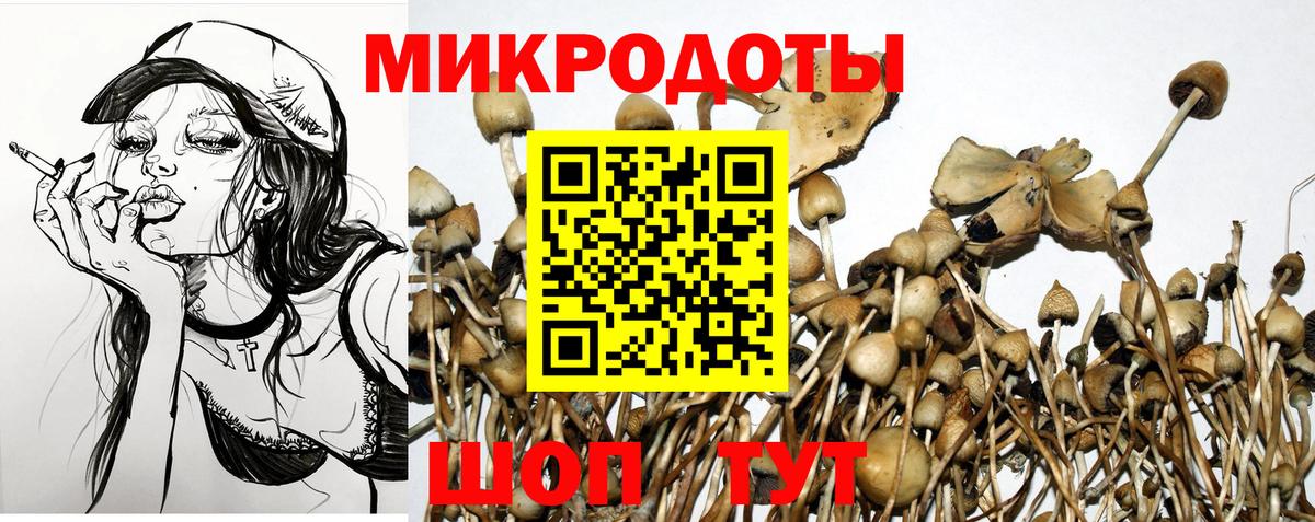 Псилоцибиновые грибы GOLDEN TEACHER  Вход с VPN  Заволжье 